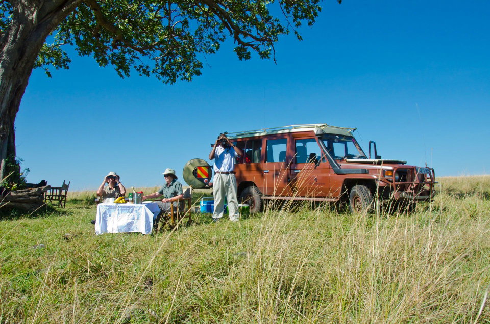 Maasai Mara Safari Guide: Best Time to Visit, Camps, and Wildlife