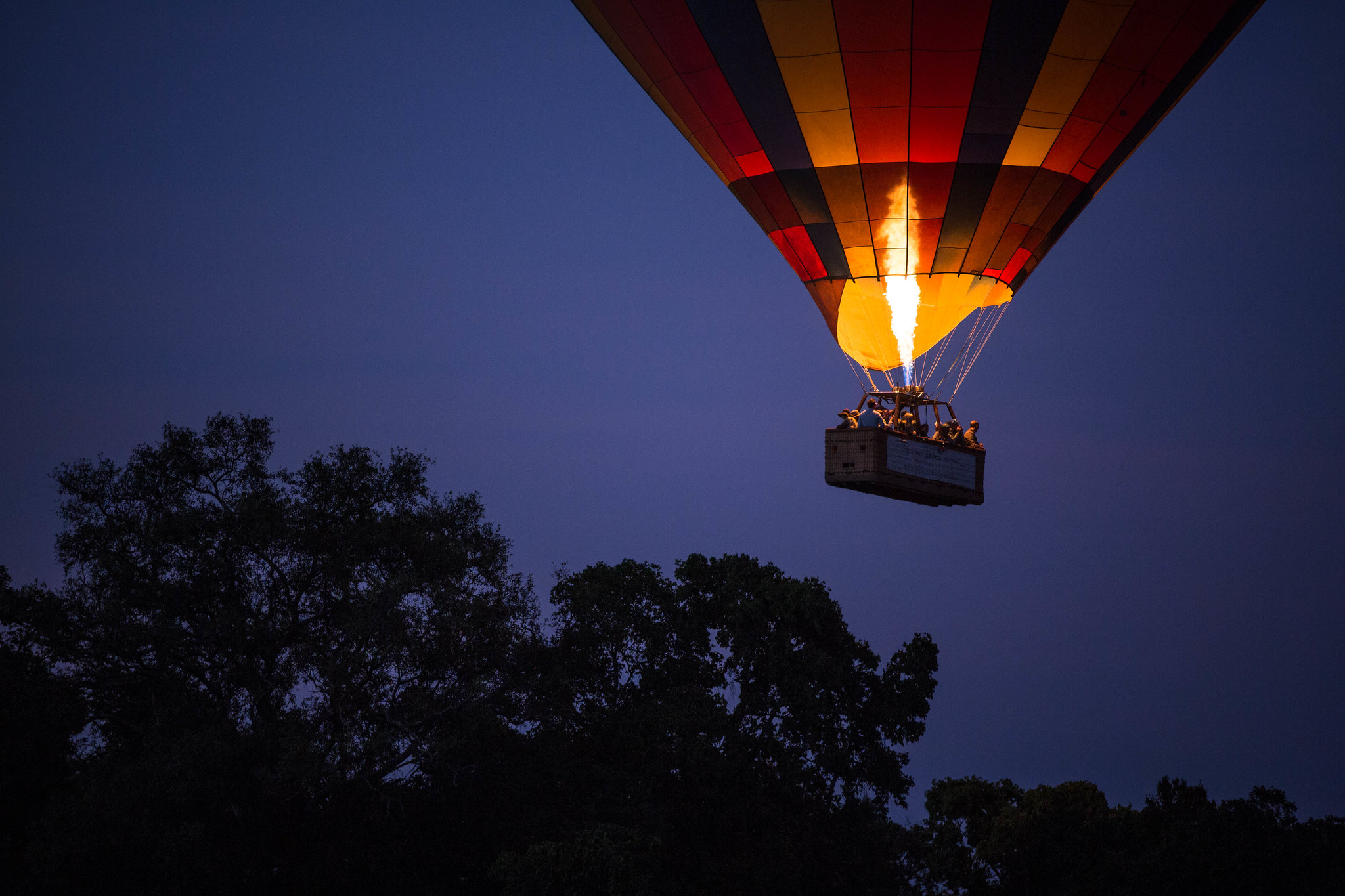 Hot Air Balloon Safari