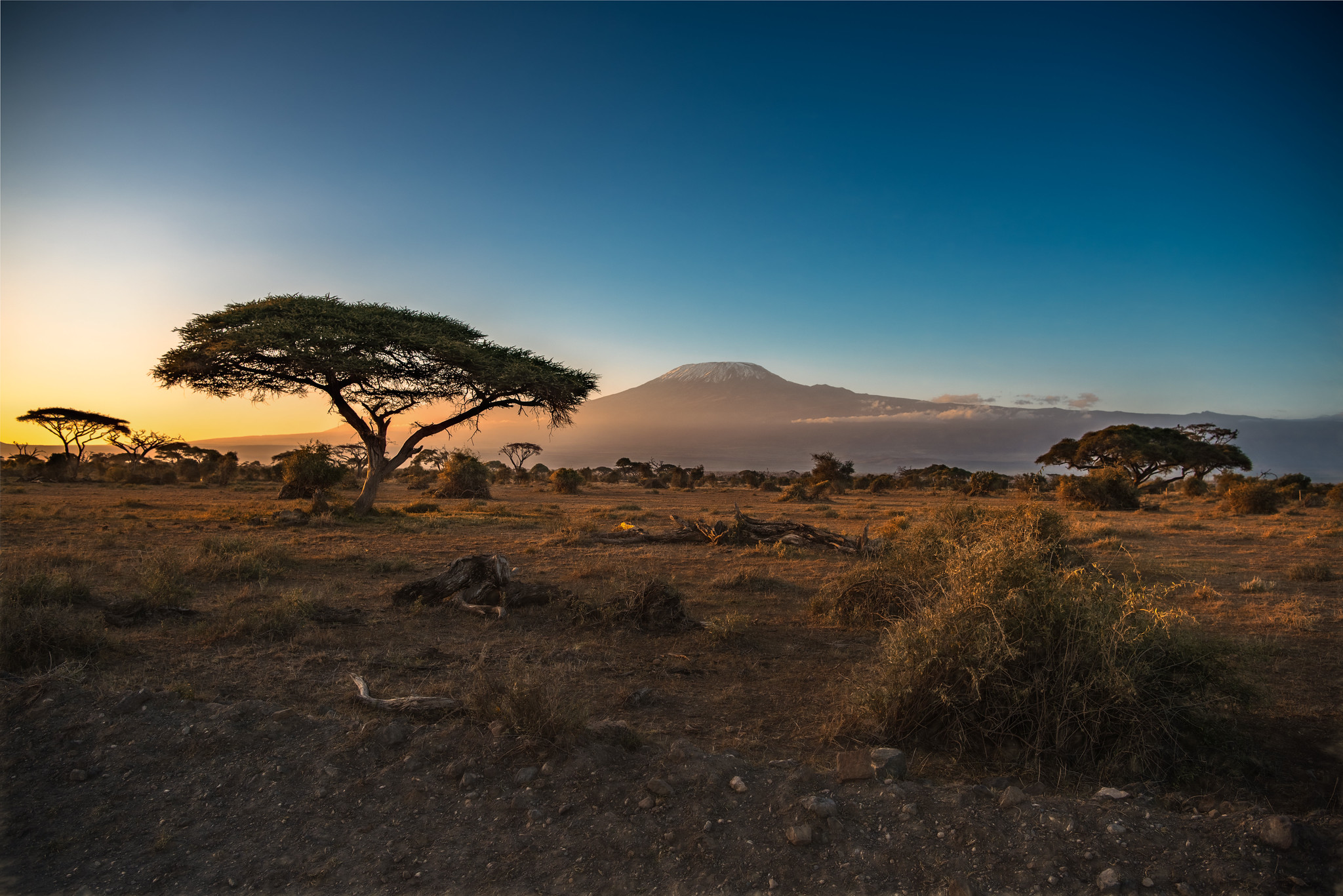 Amboseli National Park