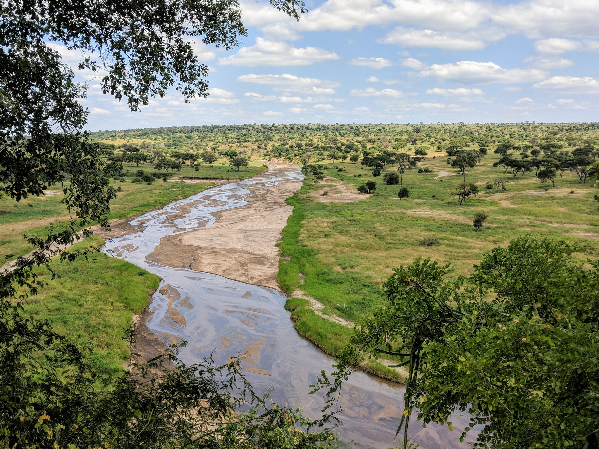 Arusha