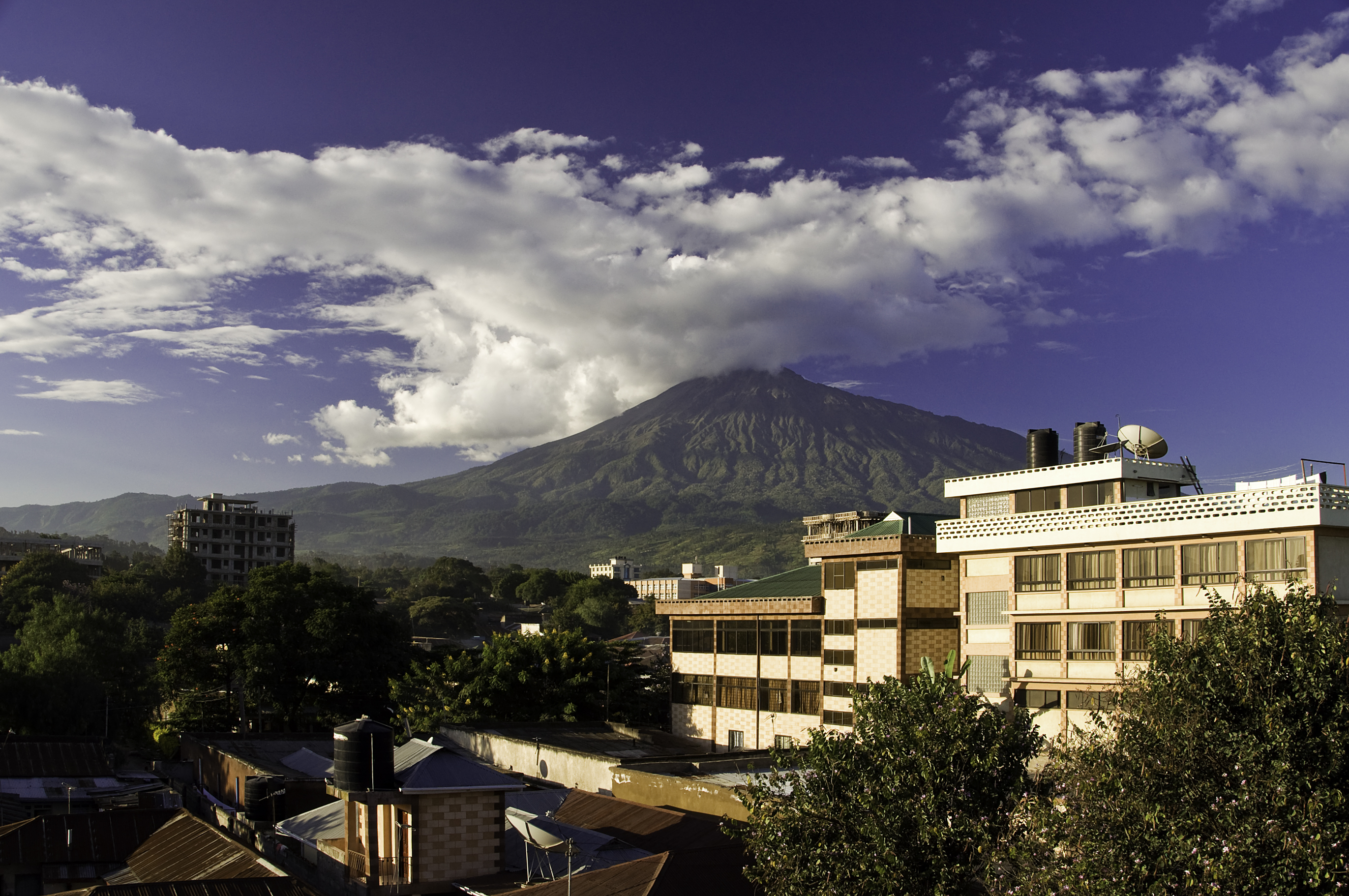 Mount Meru overlooking Arusha city with trees in the foreground