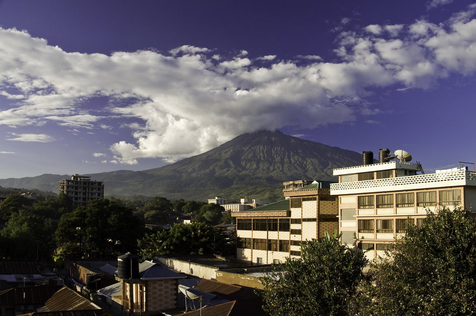 Mount Meru overlooking Arusha city with trees in the foreground