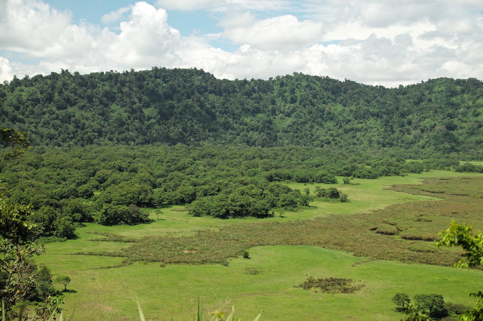 Arusha