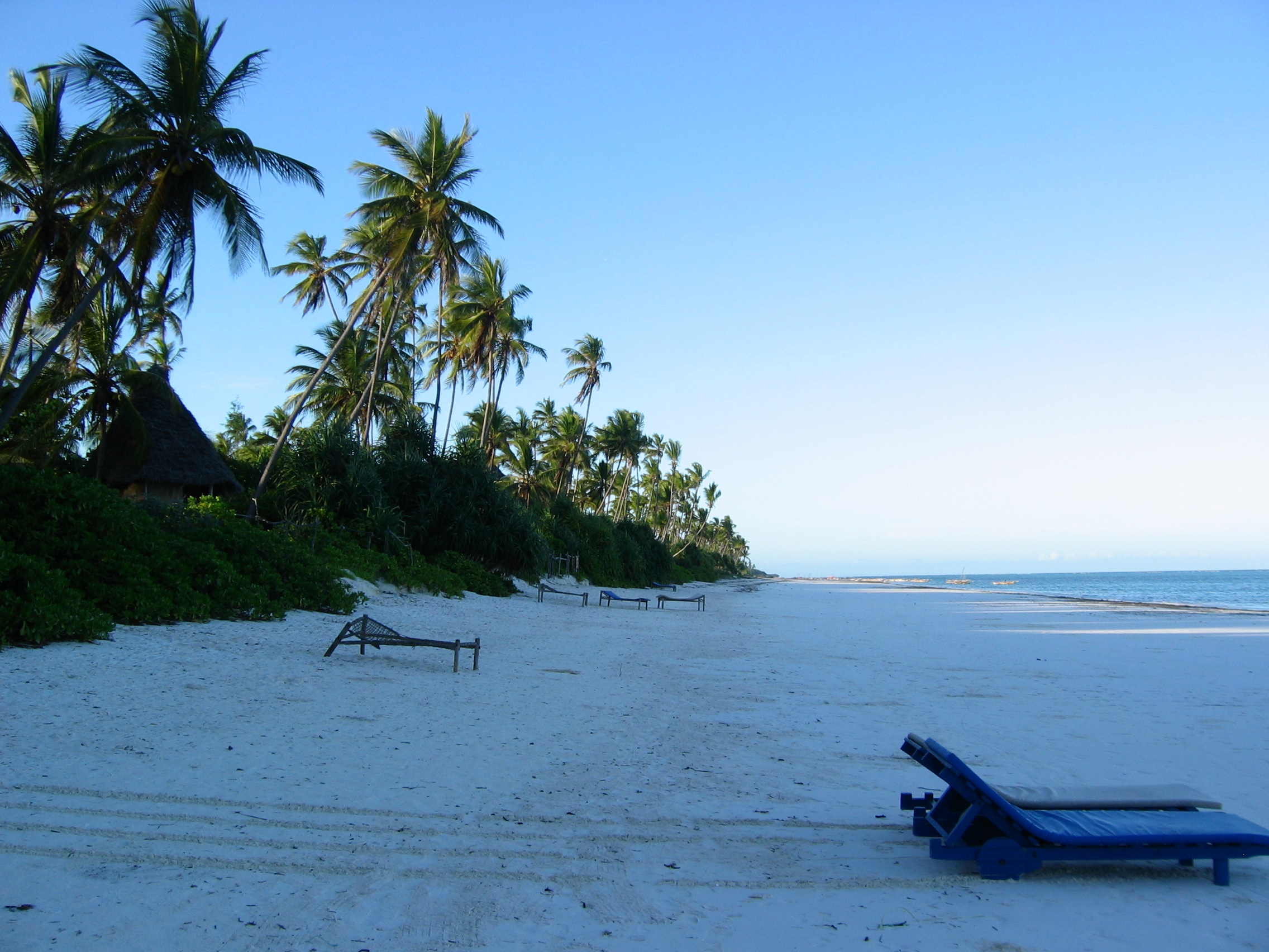 Aerial view of Zanzibar's pristine white sand beaches and turquoise waters