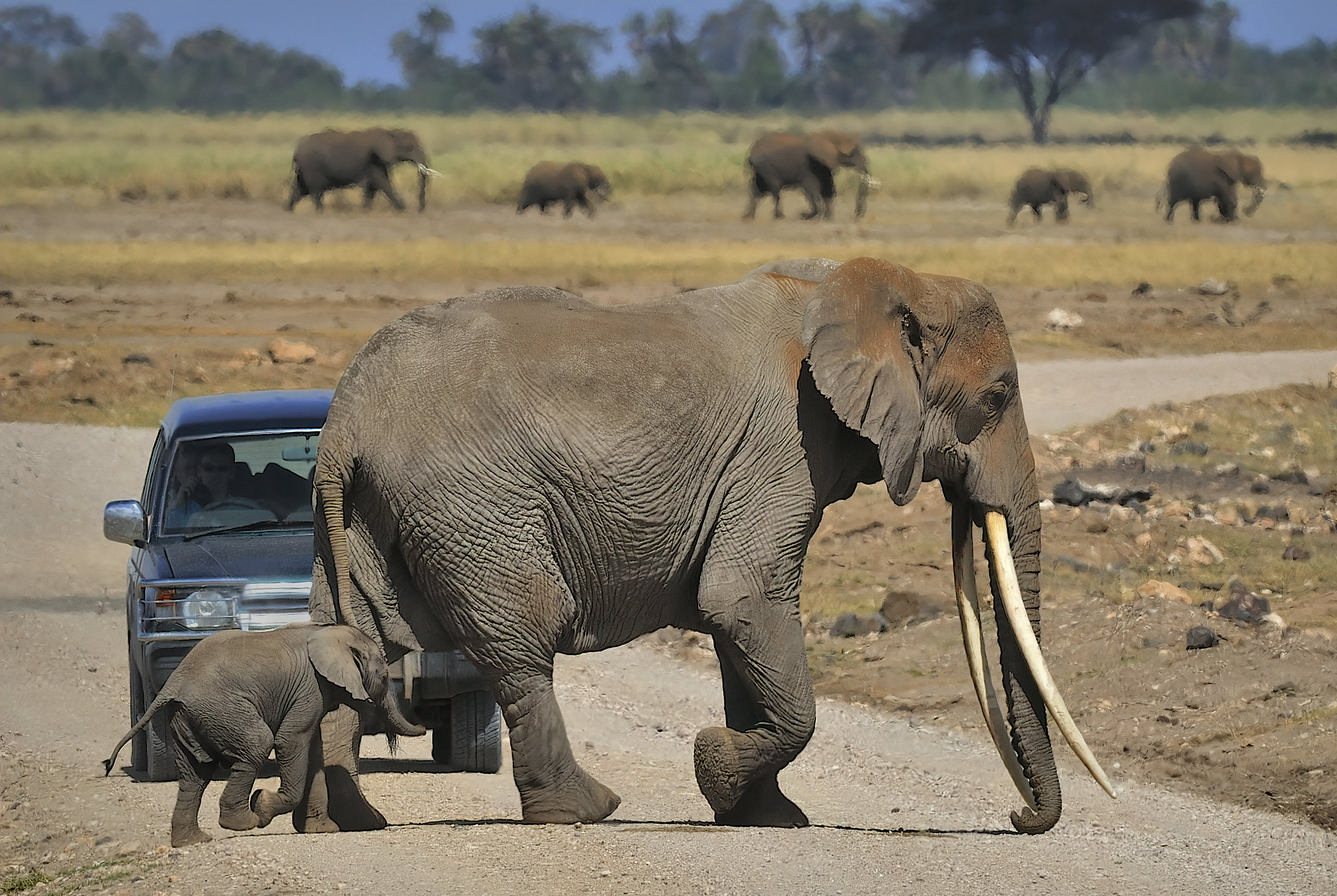 Amboseli National Park