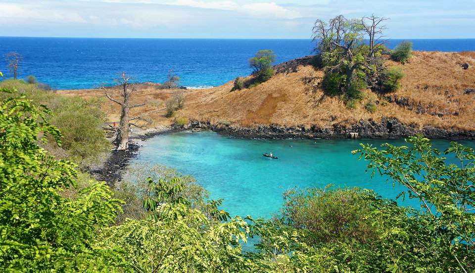 Lush rainforest coastline of São Tomé island with volcanic peaks rising behind a white-sand beach