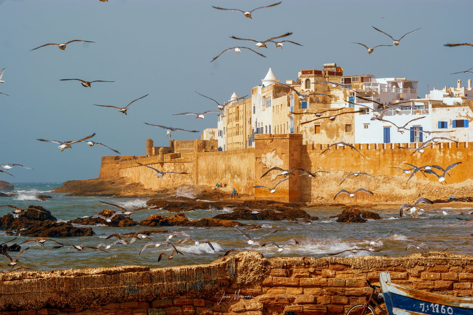 Essaouira's blue-and-white medina walls overlooking the Atlantic Ocean at sunset
