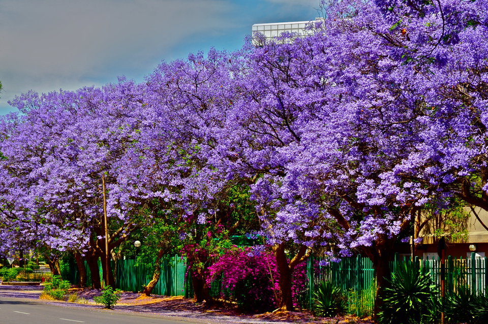 Gaborone city skyline with the Kgale Hill in the background, Botswana
