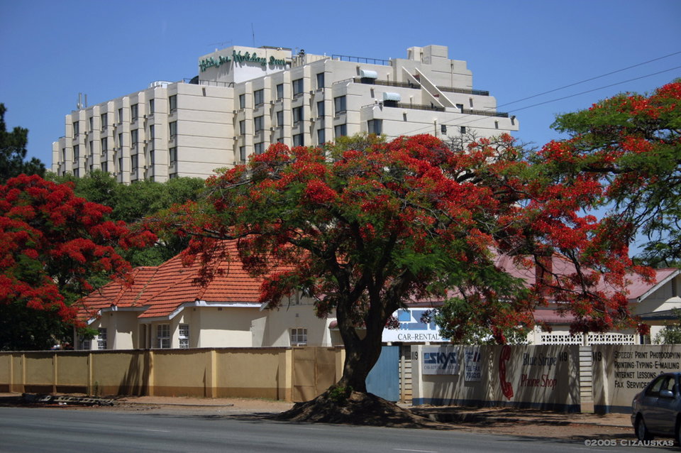 Harare city skyline seen from Kopje Hill at dusk, with jacaranda trees lining the streets below