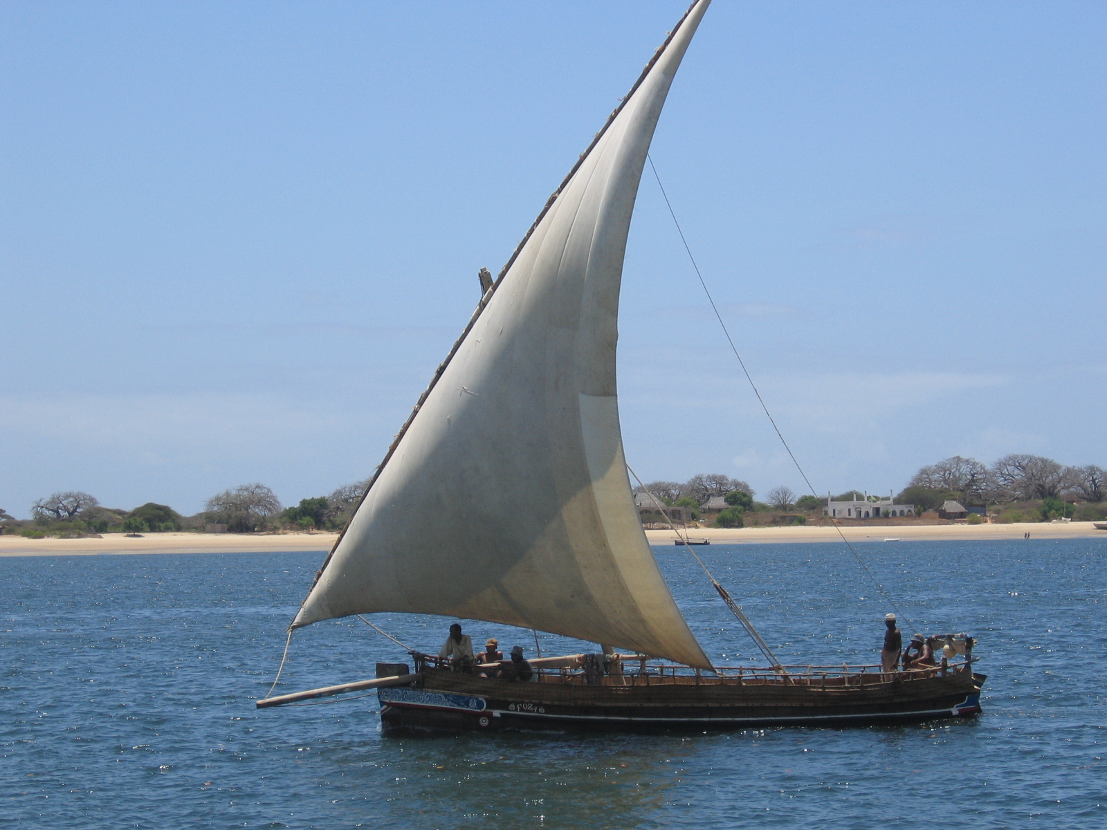Traditional Dhow Sailing