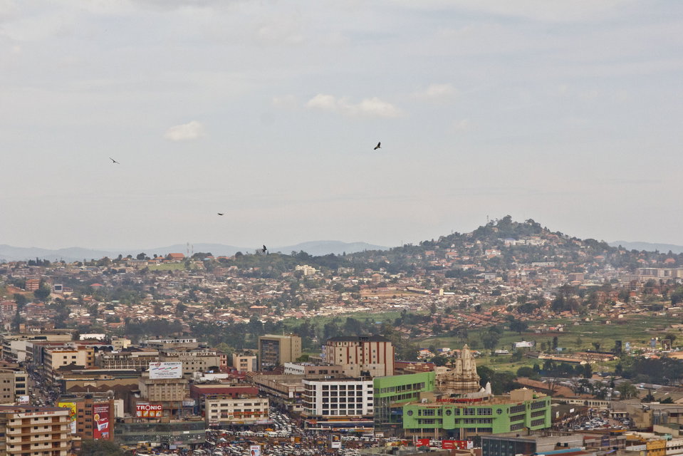 Marebou storks flying over the Kampala Skyline. Photo by Mike Freedman.