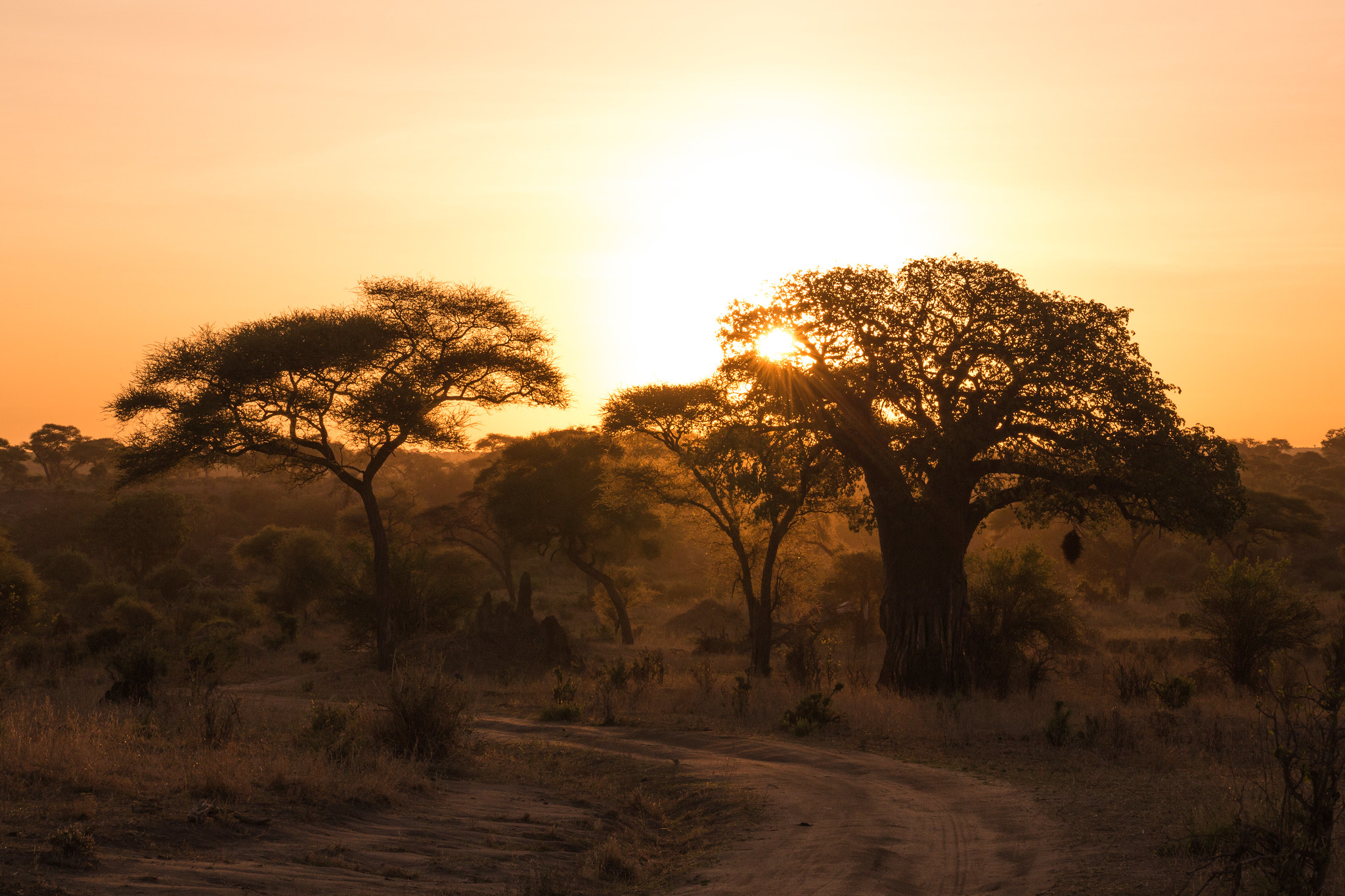 Arusha