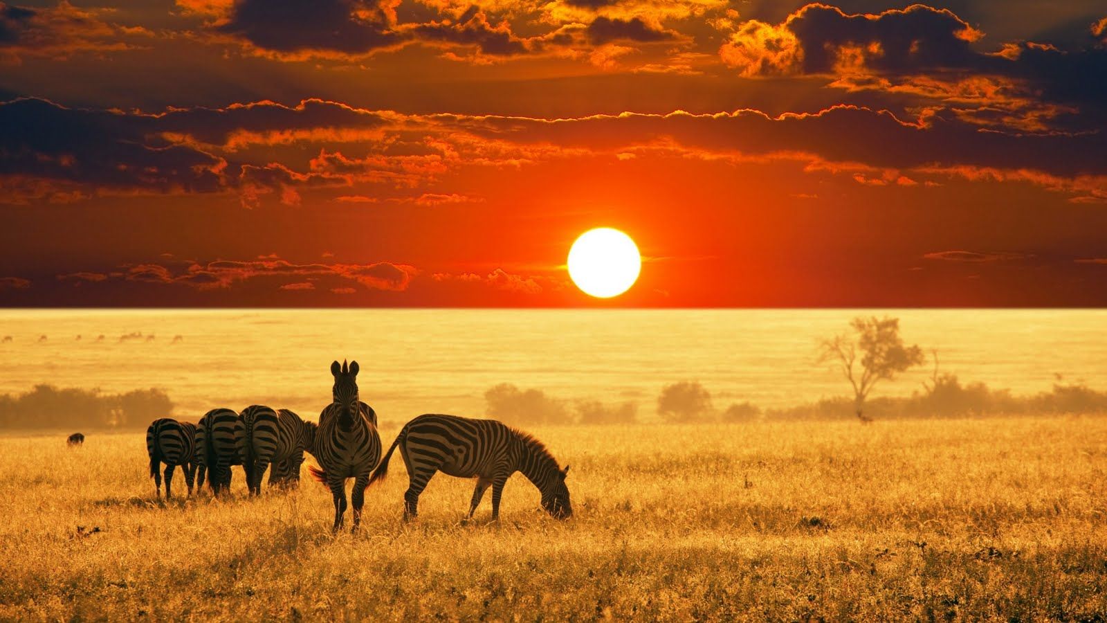 Maasai Mara