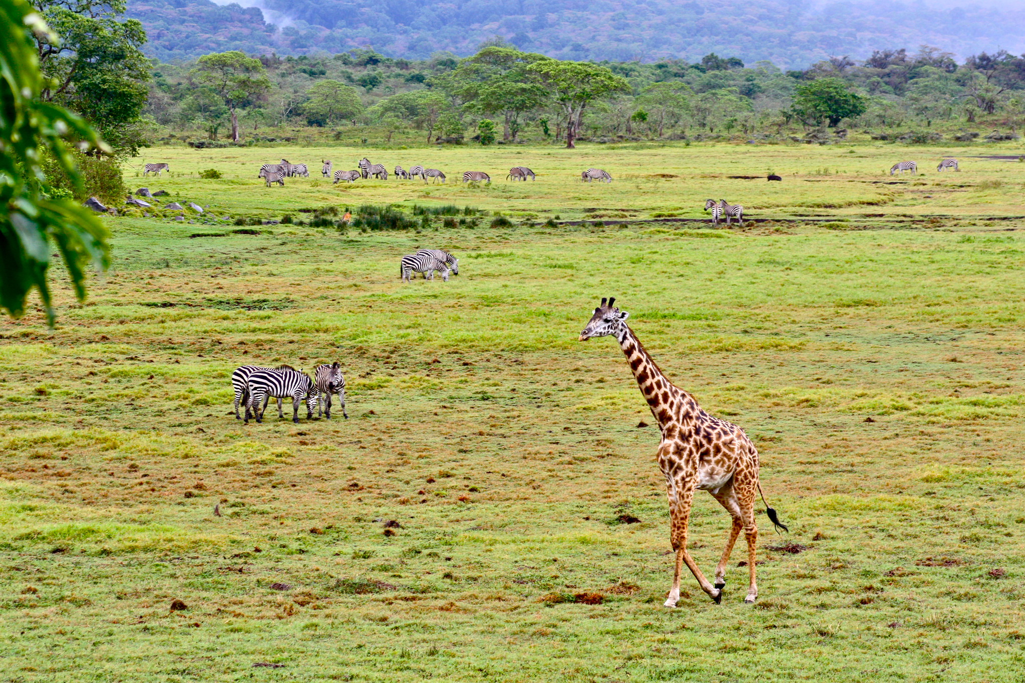 Arusha National Park