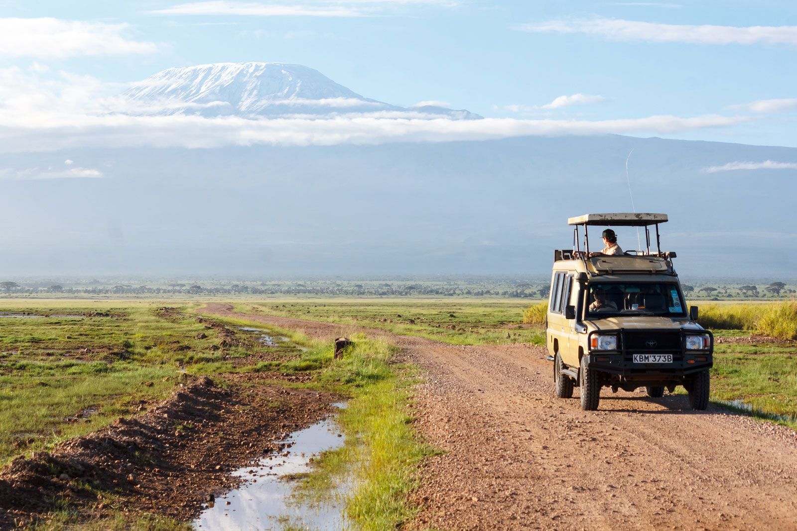The Ultimate Guide to Kenya's Best Safari Parks: Where Wildlife Dreams Come True