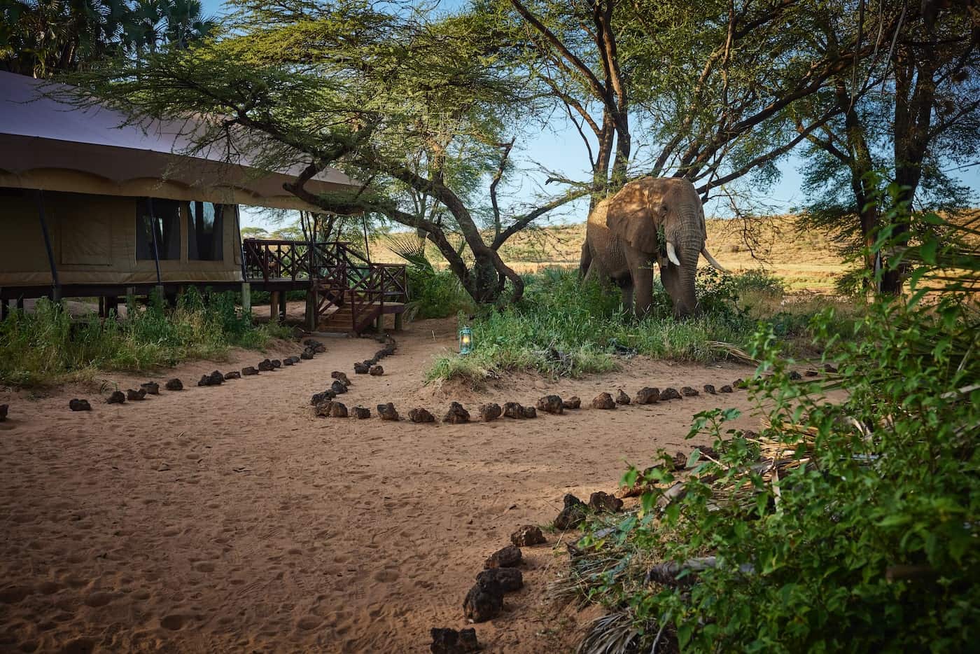 Elephant Bedroom Camp, Samburu National Reserve