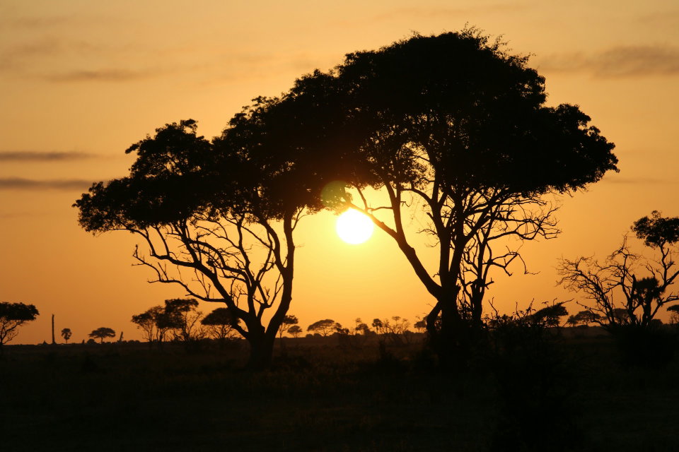 The sun sets at Murchison Falls National Park Uganda, Masindi, Uganda. Photo by Gabriel Schumacher.