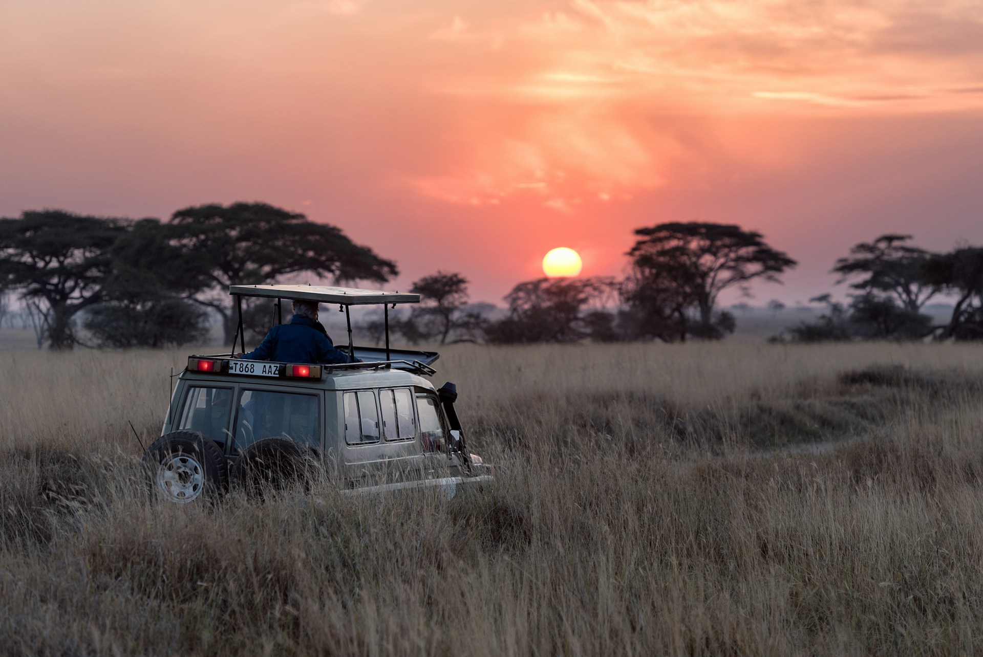 Tanzania for Beginners: Your First Safari Made Simple