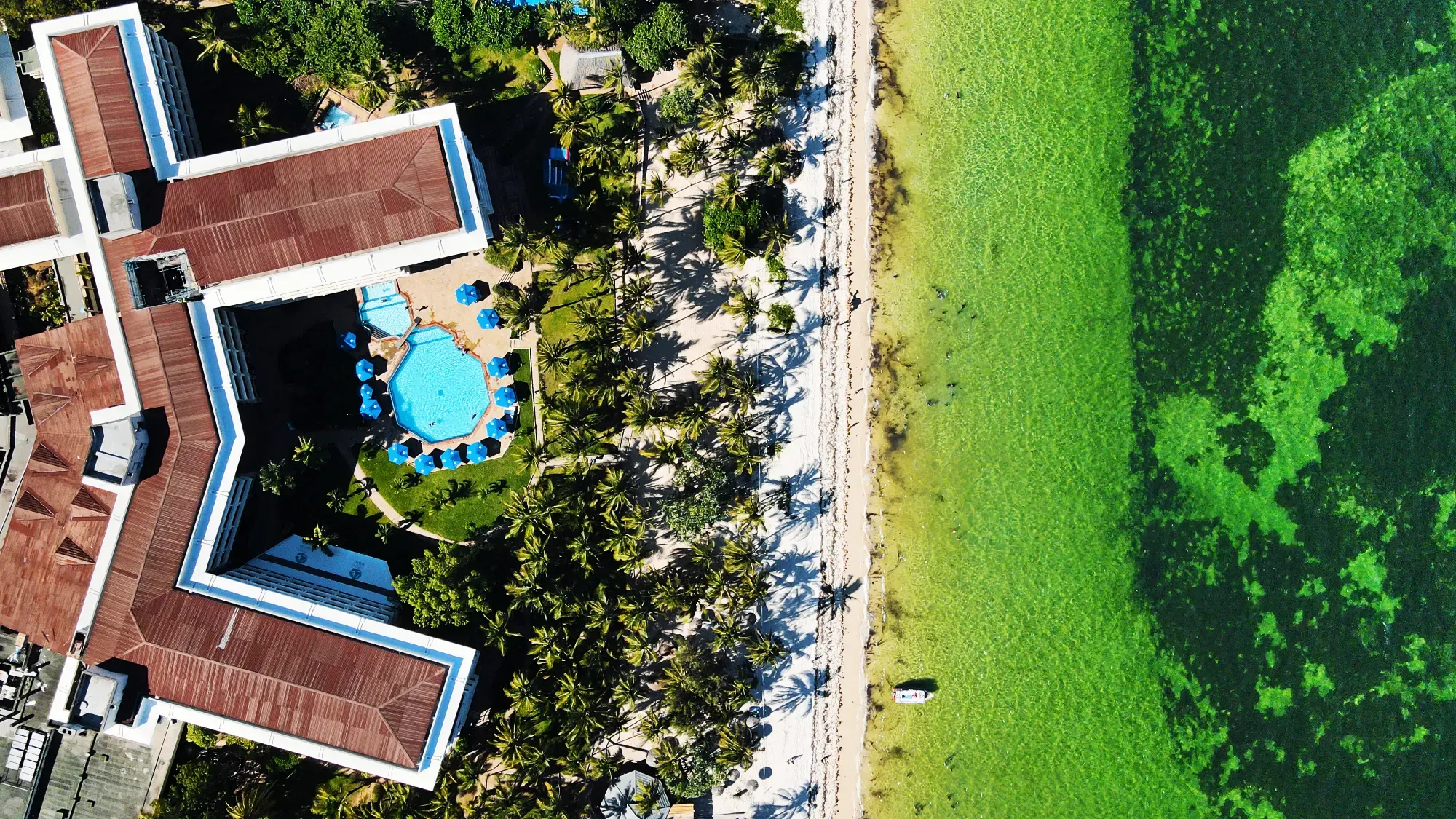 Mombasa Continental, Shanzu