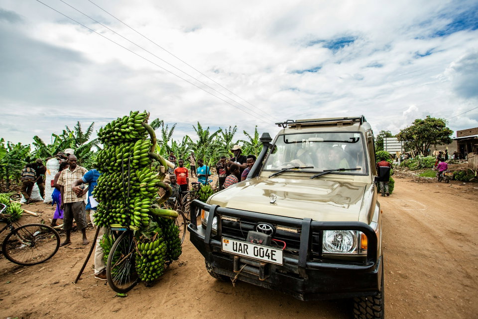 Uganda Diaspora Travel Guide: Making a Meaningful Impact Through Tourism