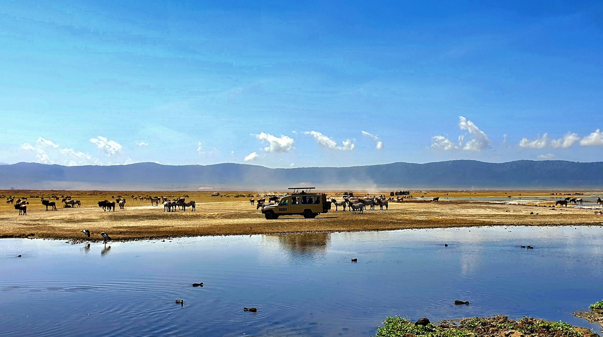 Tourists at the Ngorongoro National Park. Photo by Patricia (Trisha) Berberat.