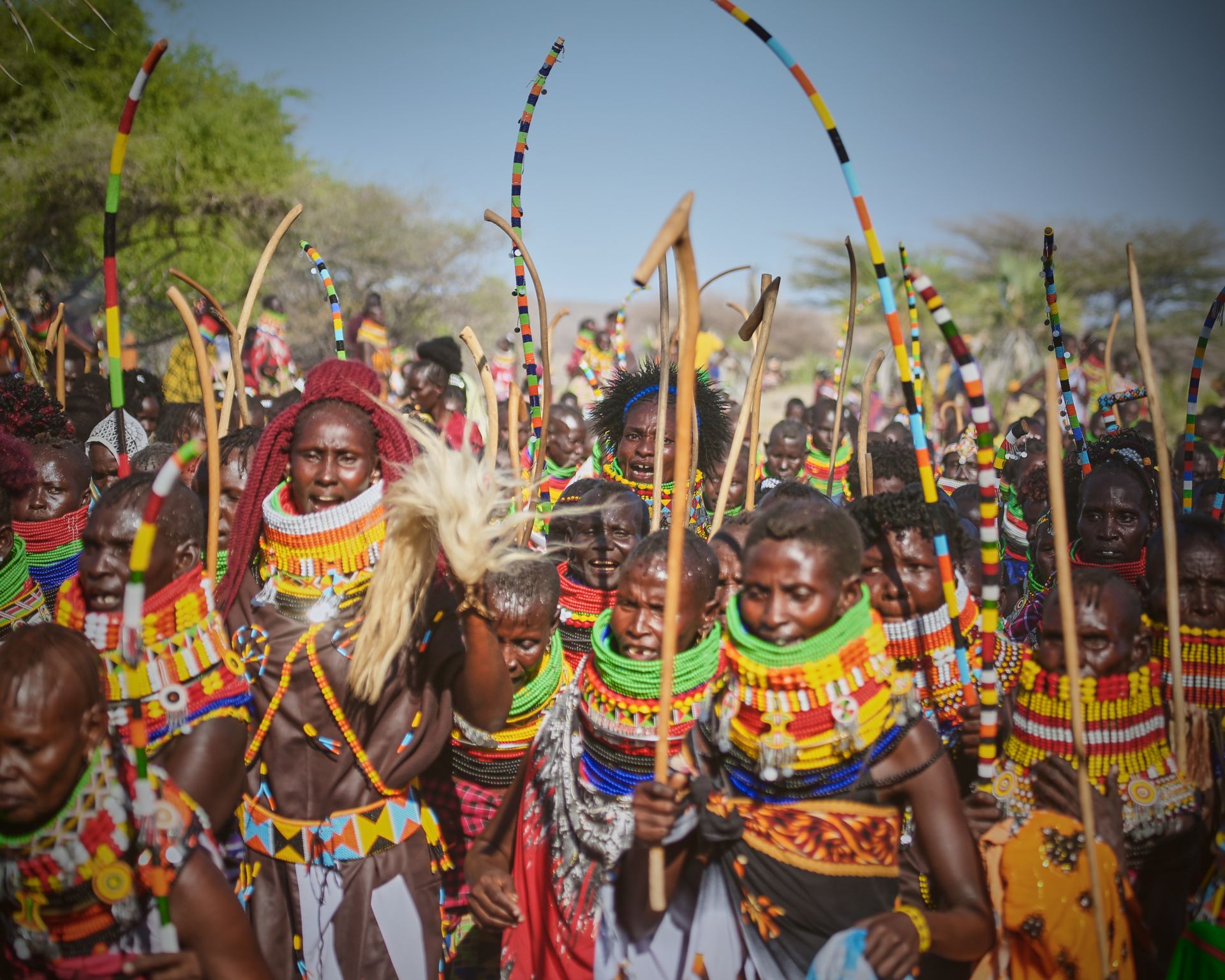 Samburu highlight