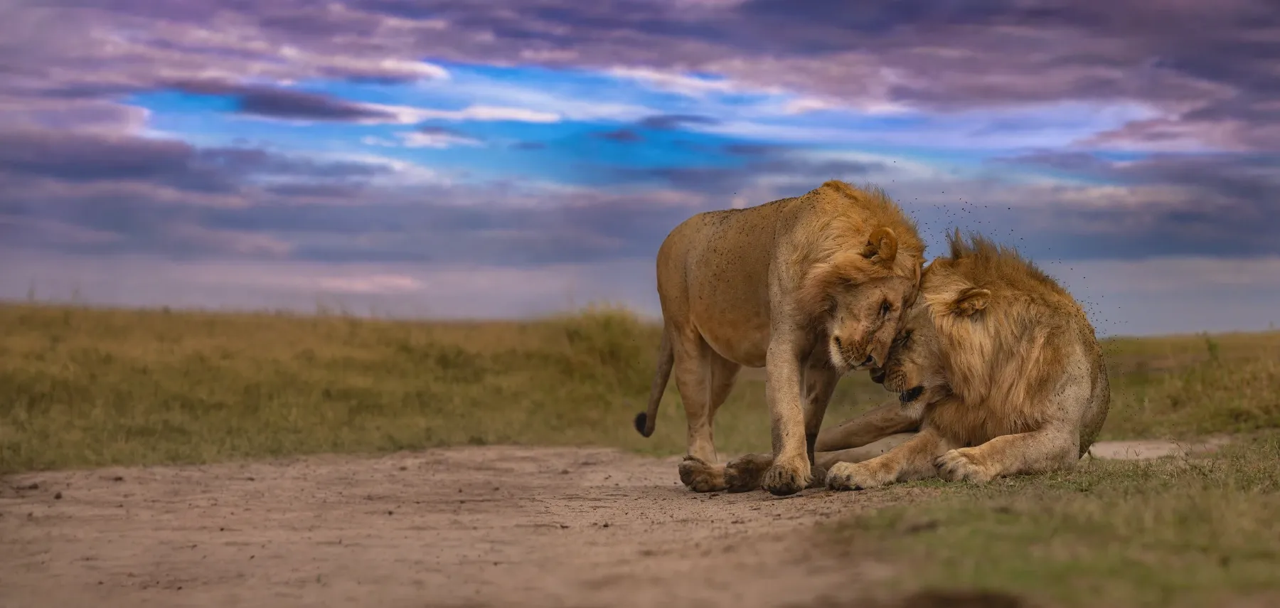 Masai Mara holiday package