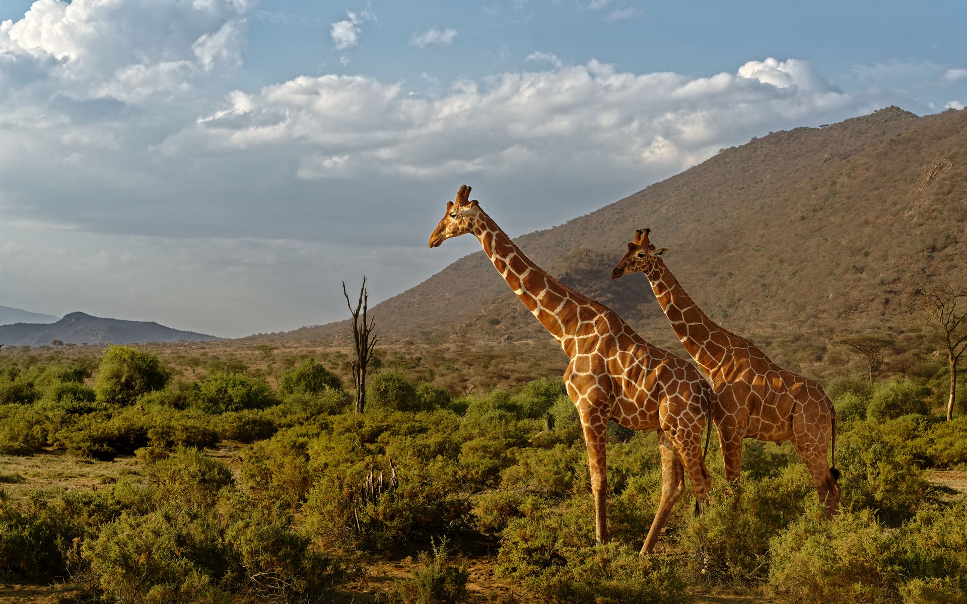 Samburu beach