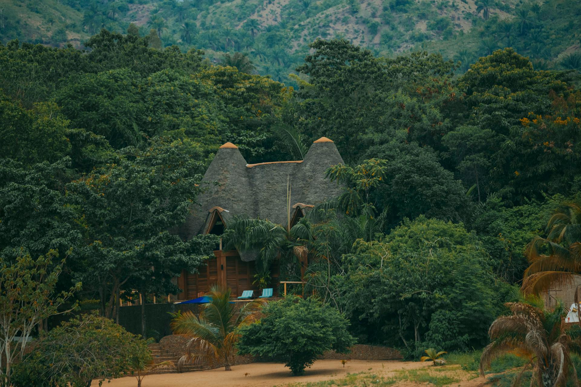 An ecolodge in a lush dense forest. Photo by Isaac Naph.