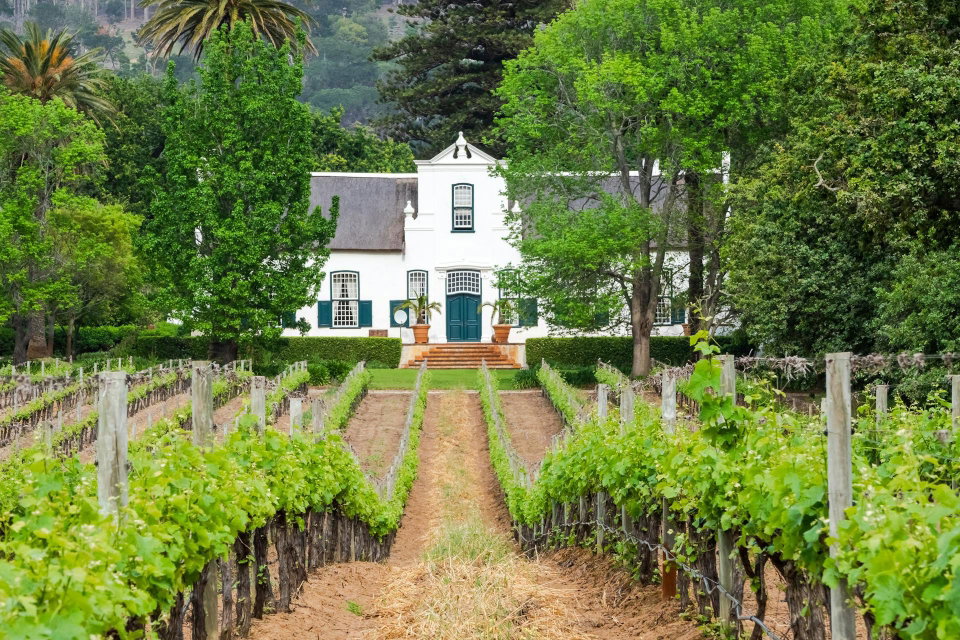 Cape Dutch Manor House and Vineyard in Constantia Valley, South Africa