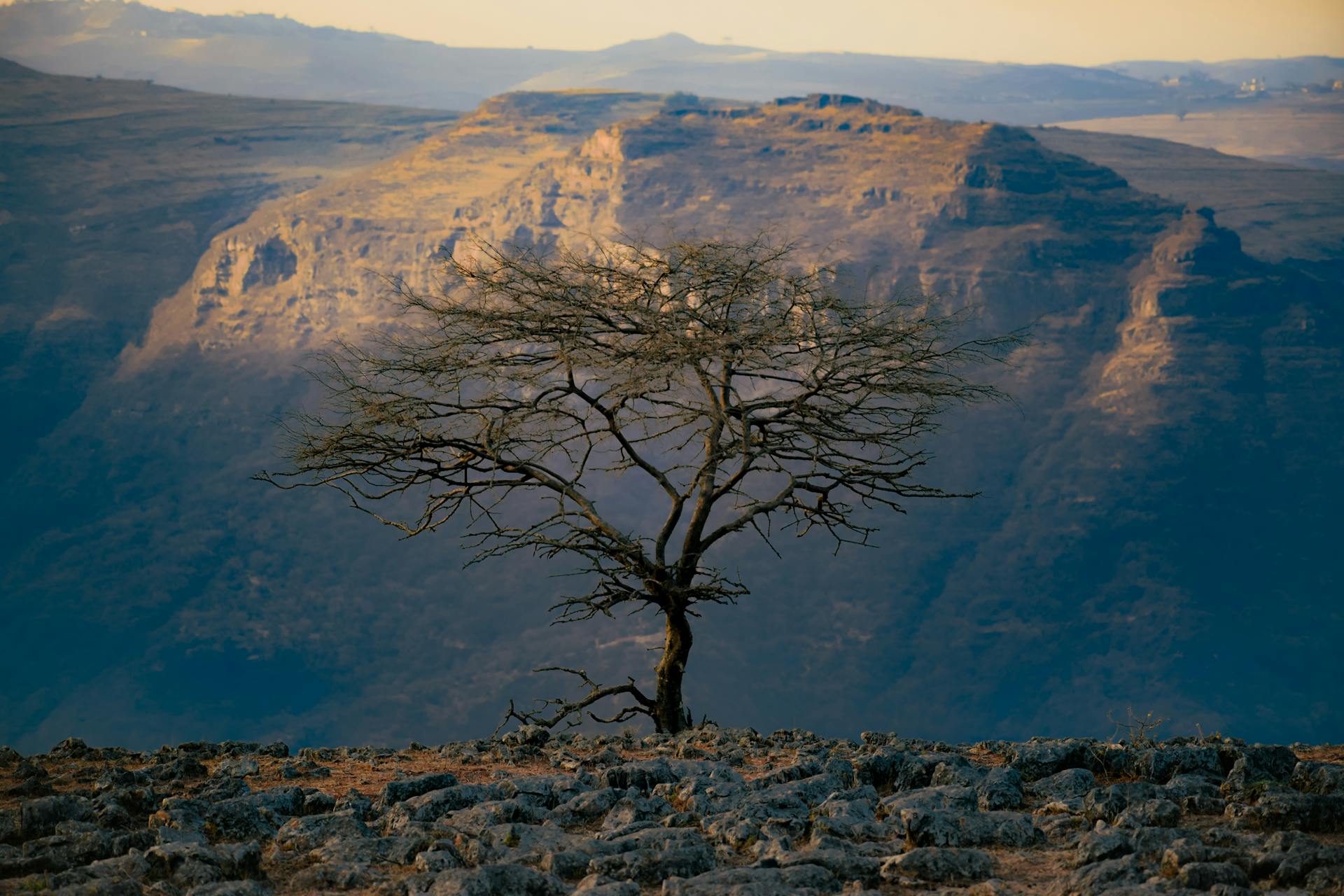 Hiking the Simien Mountains: Africa's Grand Canyon Experience