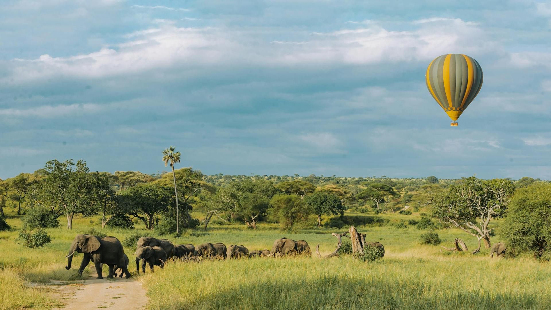 pexels-tanzania-wild-sky-986912744-20179671.jpg