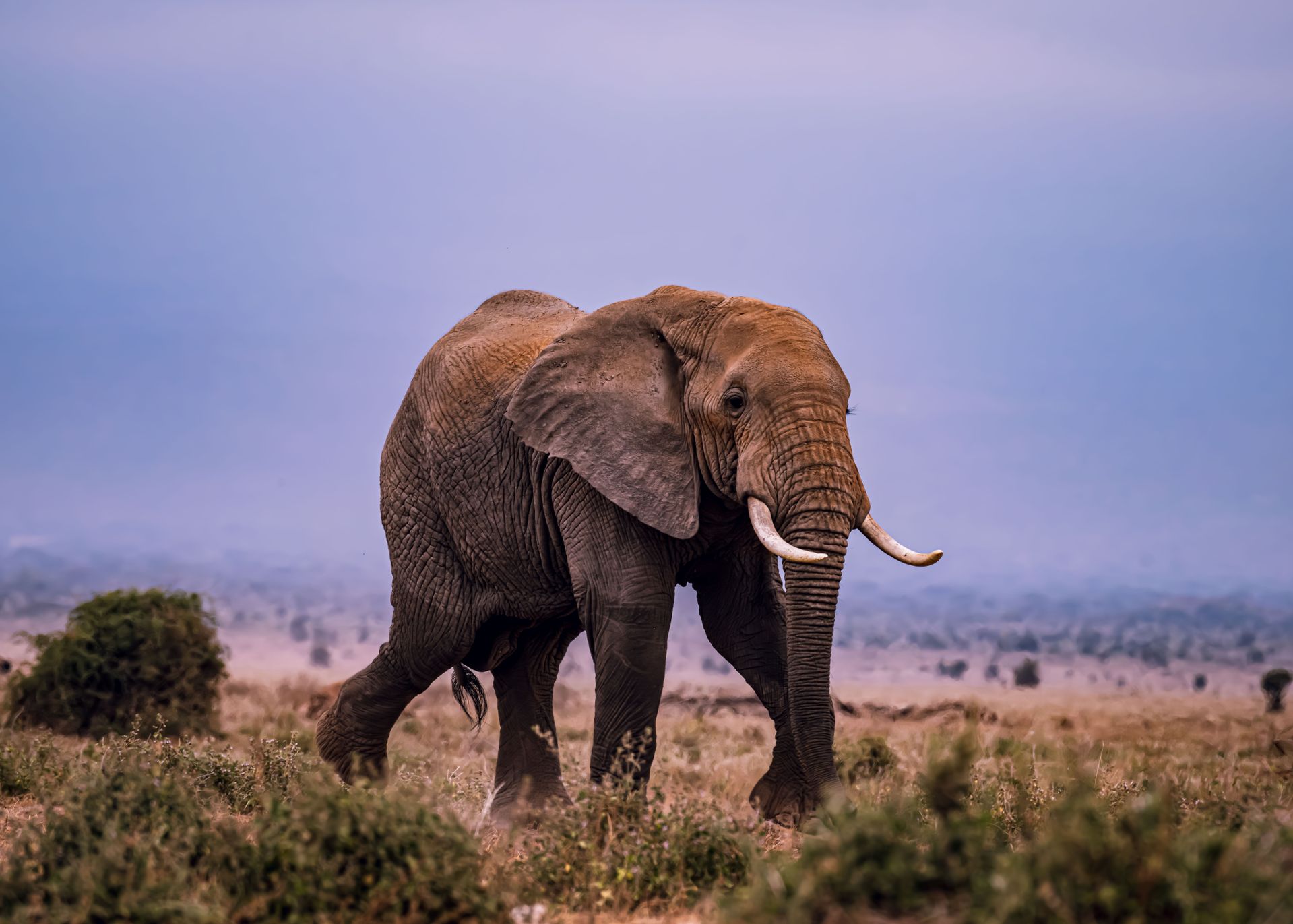 Samburu holiday package