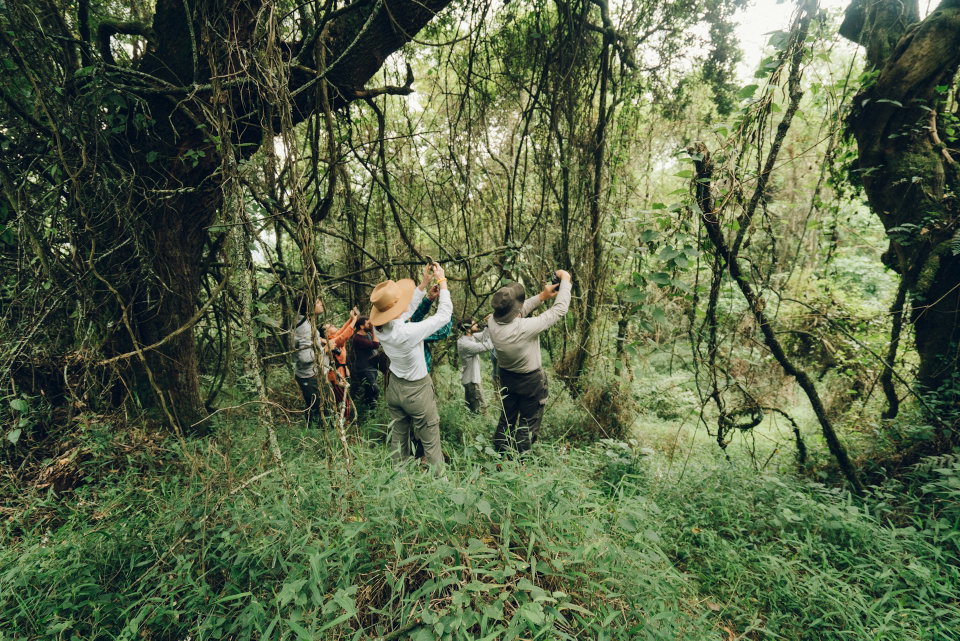 A trip to the landlocked country in Africa reveals visual surprises. Bwindi Impenetrable National Park, Uganda. Photo by Random Institute.