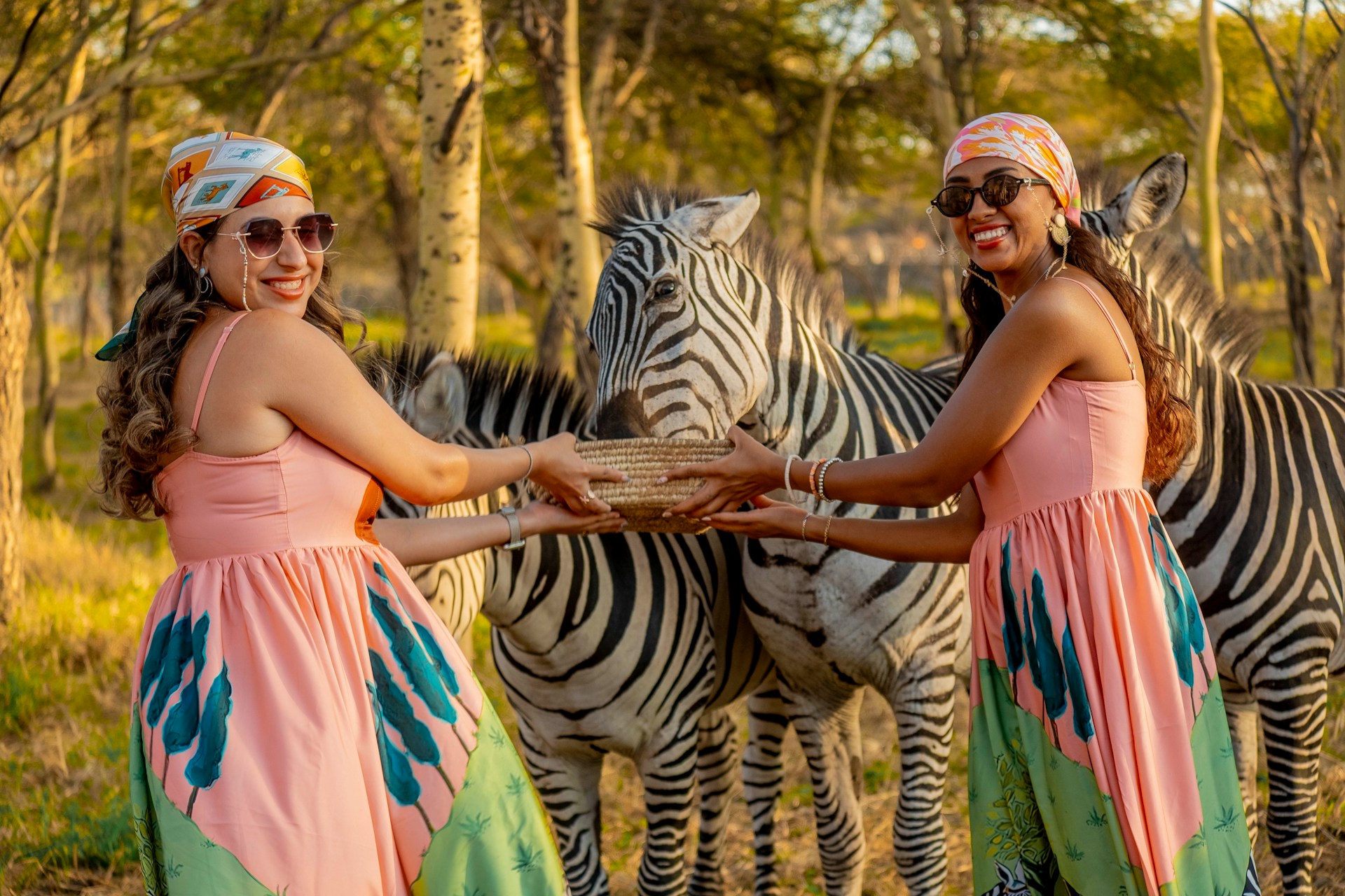 The Future of African Travel: Trends That Will Define the Next Decade