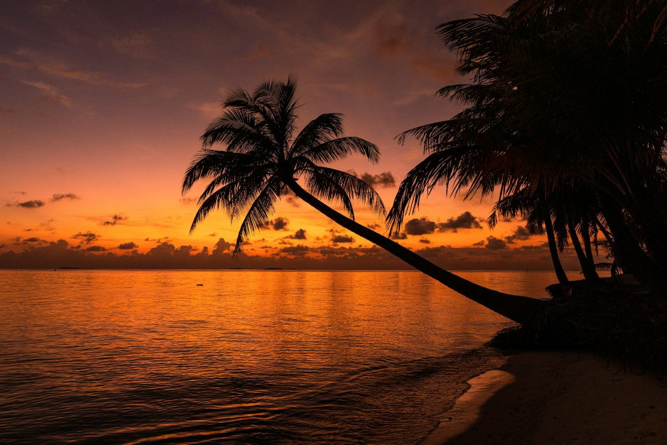 Coastal Kenya Guide: Diani, Watamu, Lamu – Where Pristine Beaches Meet Timeless Culture