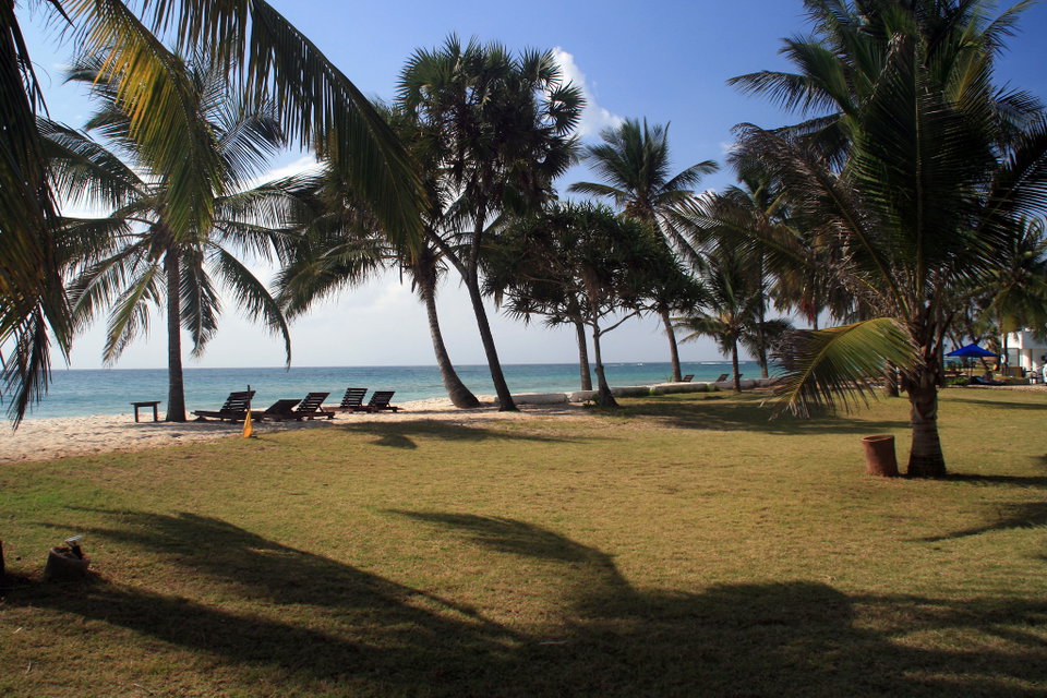 Pristine white sand beach at Diani with turquoise Indian Ocean waters and palm trees