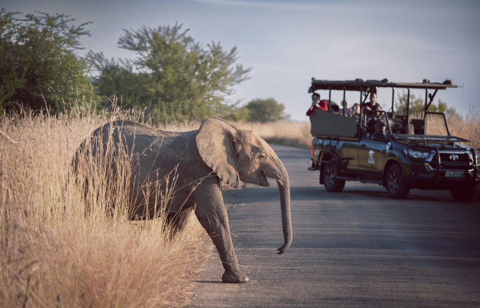 Family Travel in Tanzania: Safari, Spice Islands, and Cultural Roots