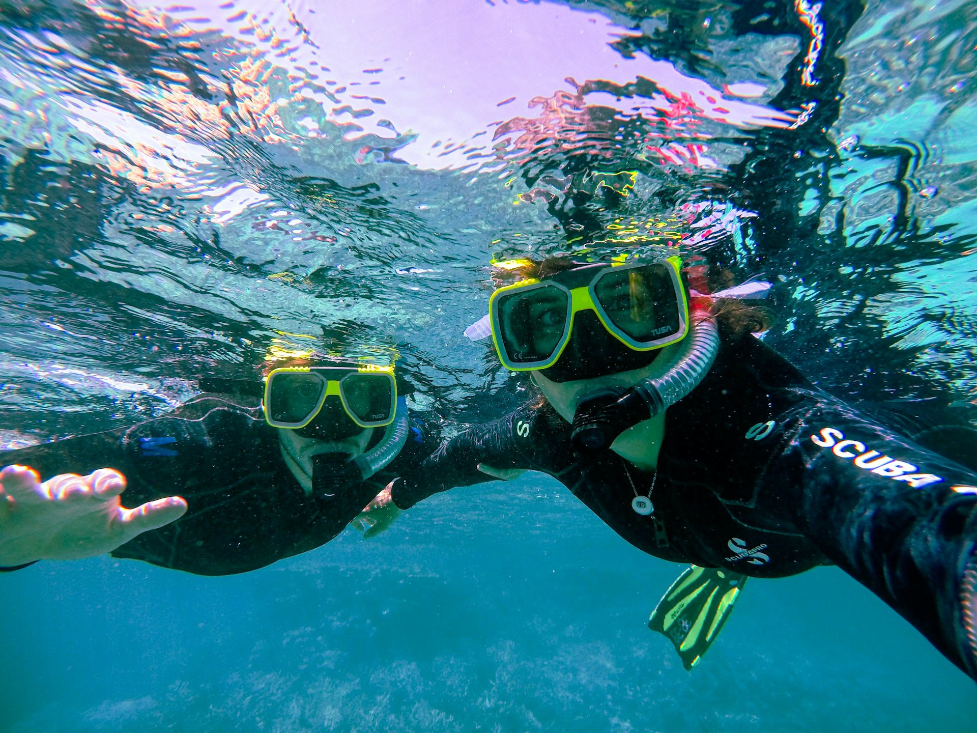 Snorkel or Dive at Kisite-Mpunguti Marine Park