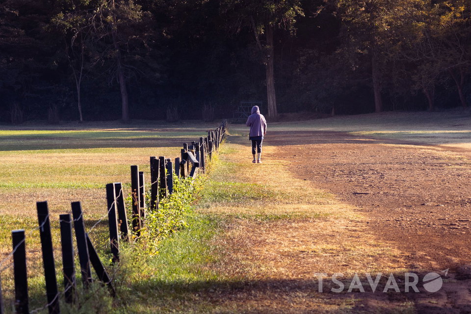 A person exercises at a park in Karura, Nairobi in the early morning hours. 